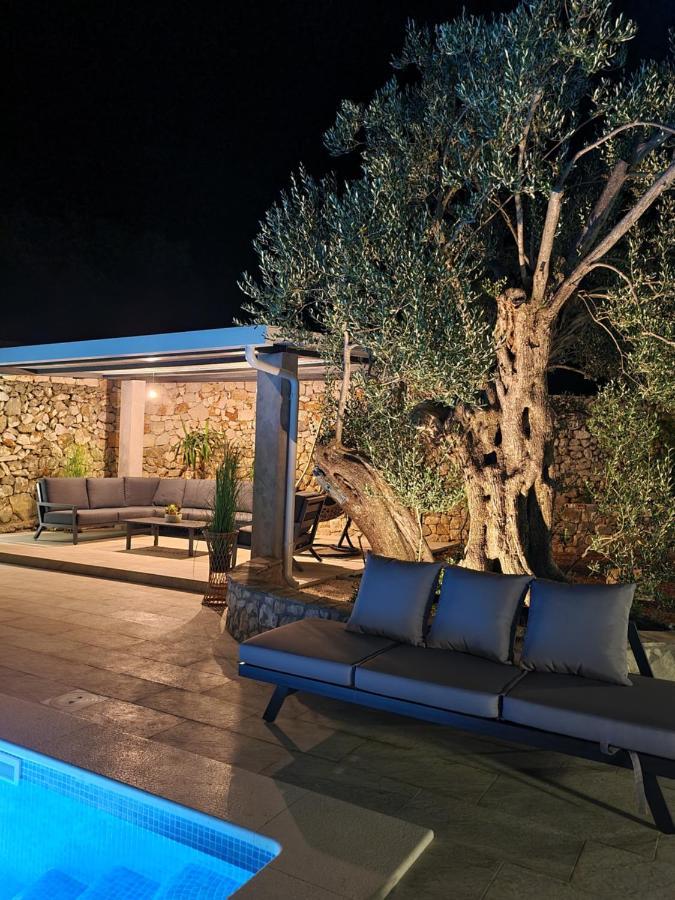 Olive Tree - House With Pool
