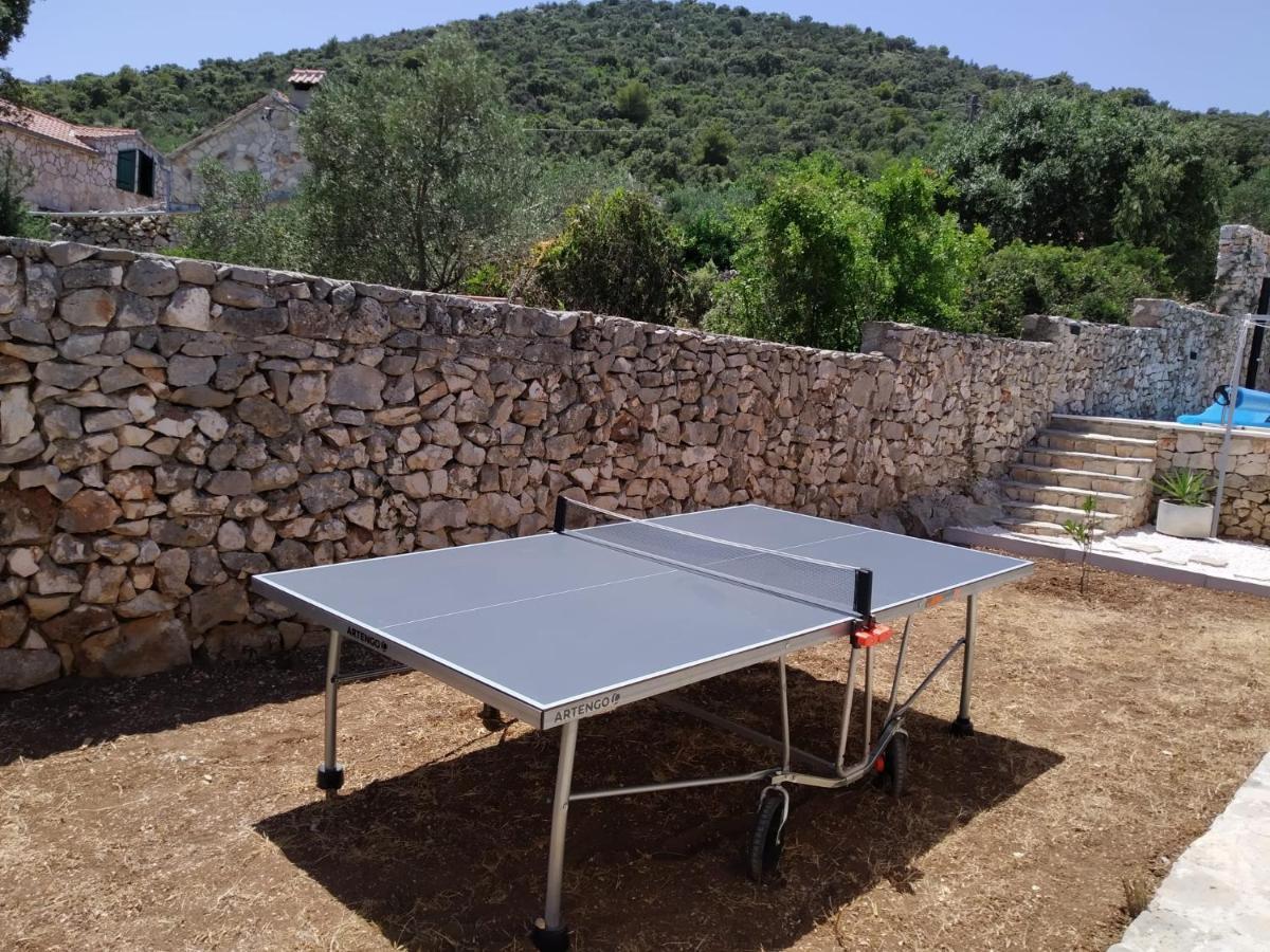 Olive Tree - House With Pool